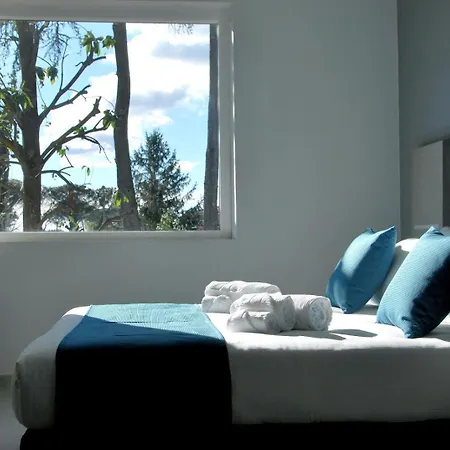 Tiber Suite-3